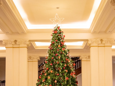 news_christmas-tree-lighting-at-galle-face-hotel